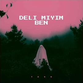 Yaşo Deli Miyim Ben