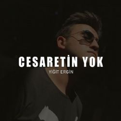 Yiğit Ergin Cesaretin Yok