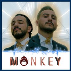 Zeki Ve Baran Monkey