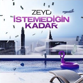 Zeyd İstemediğin Kadar