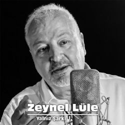 Zeynel Lüle Yalnız Şarkı