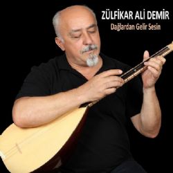 Zülfikar Ali Demir Dağlardan Gelir Sesin