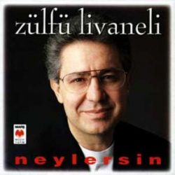 Zülfü Livaneli Neylersin